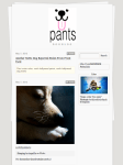 Pants Dog Walking Tumblr by Casandra Armour